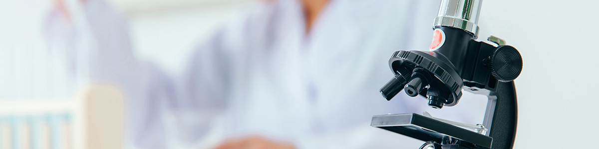 “発酵”の凄い力!医療・化学・環境の分野でも大活躍